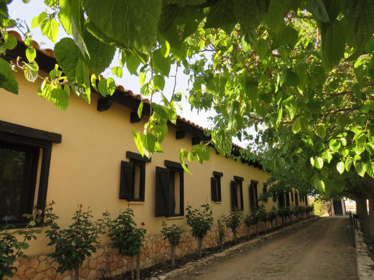 Hotel Enoturismo Mainetes Fuente-Alamo  Ngoại thất bức ảnh