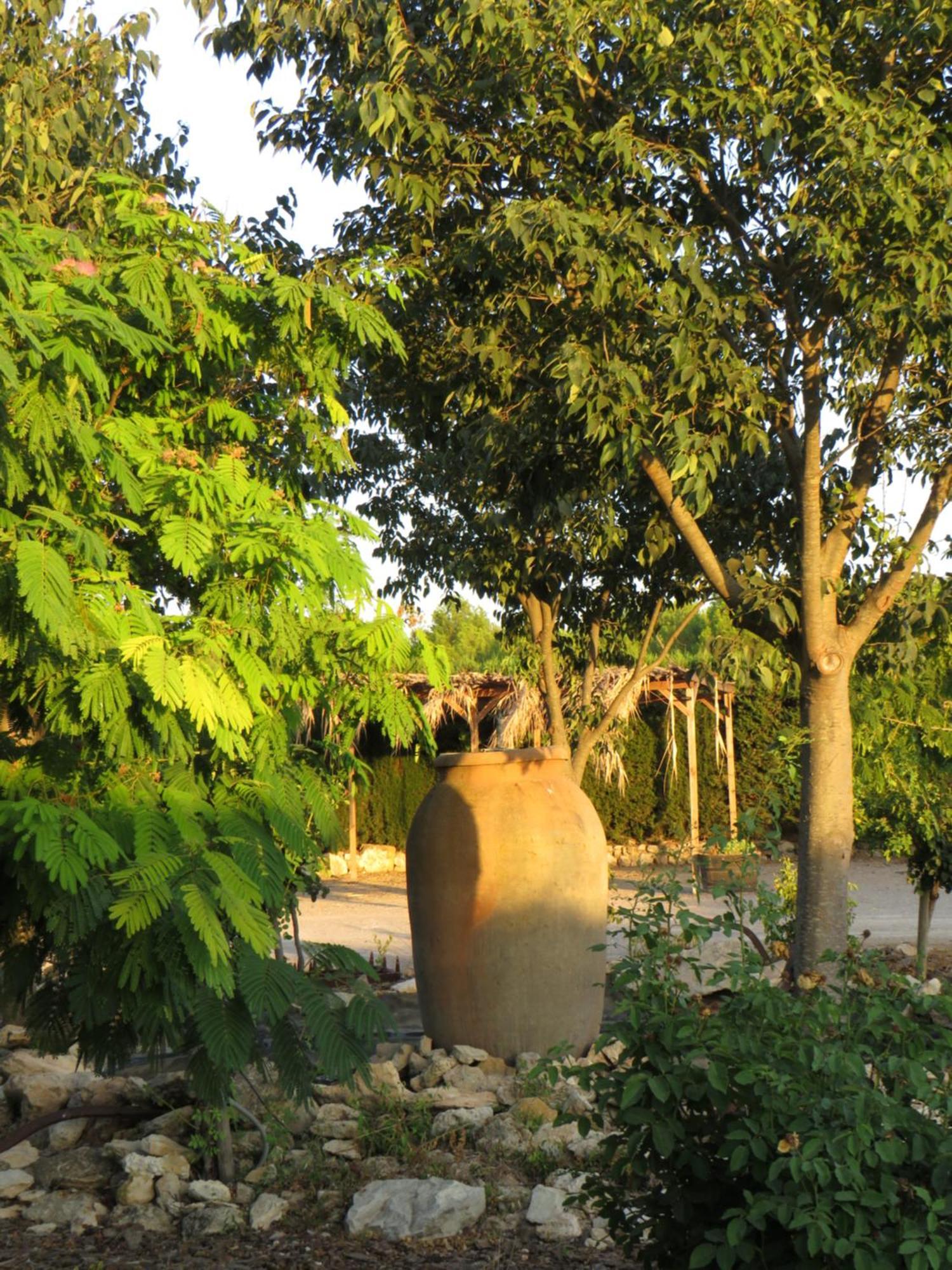 Hotel Enoturismo Mainetes Fuente-Alamo  Ngoại thất bức ảnh